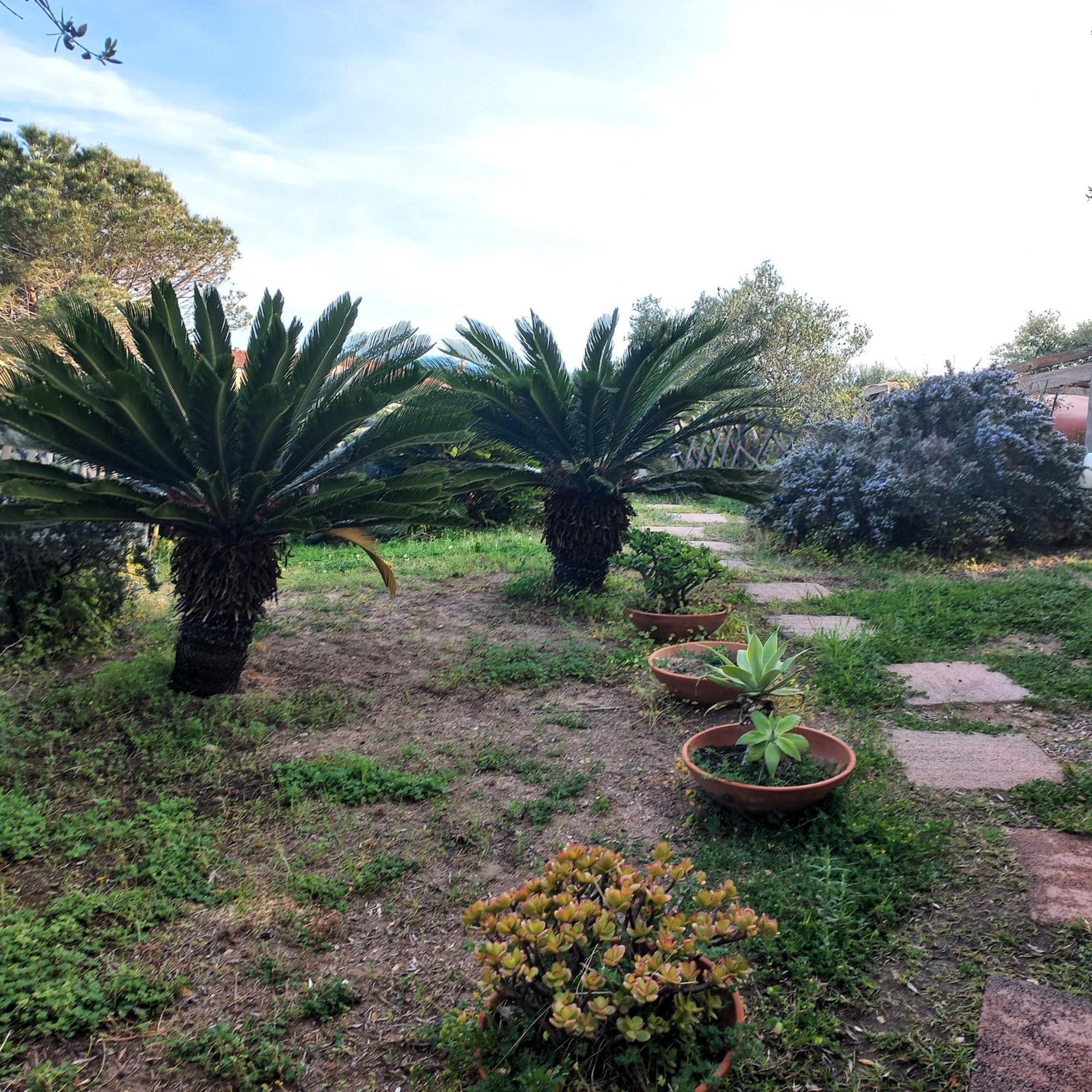 Villa Graziella La Maddalena  Kültér fotó