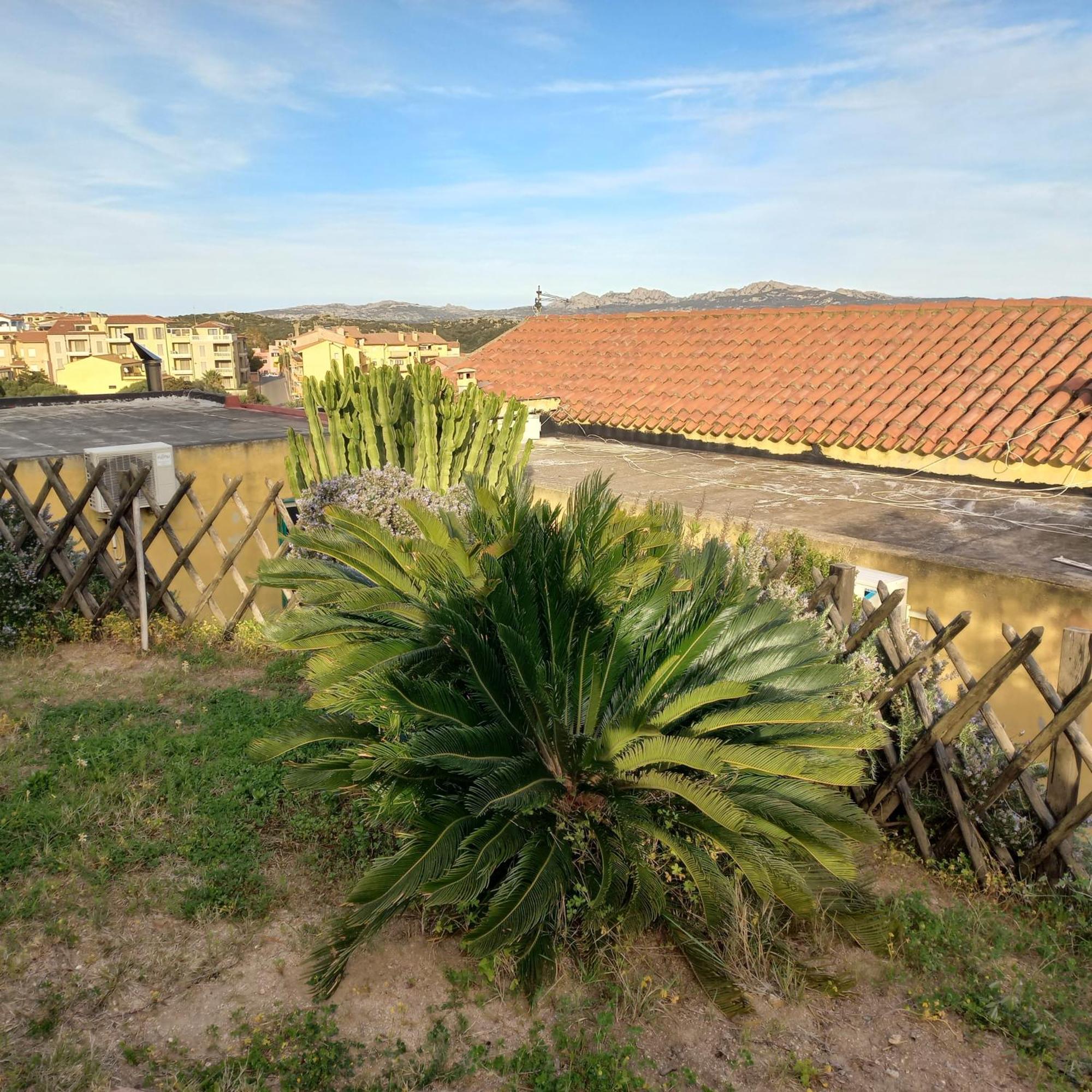 Villa Graziella La Maddalena  Kültér fotó