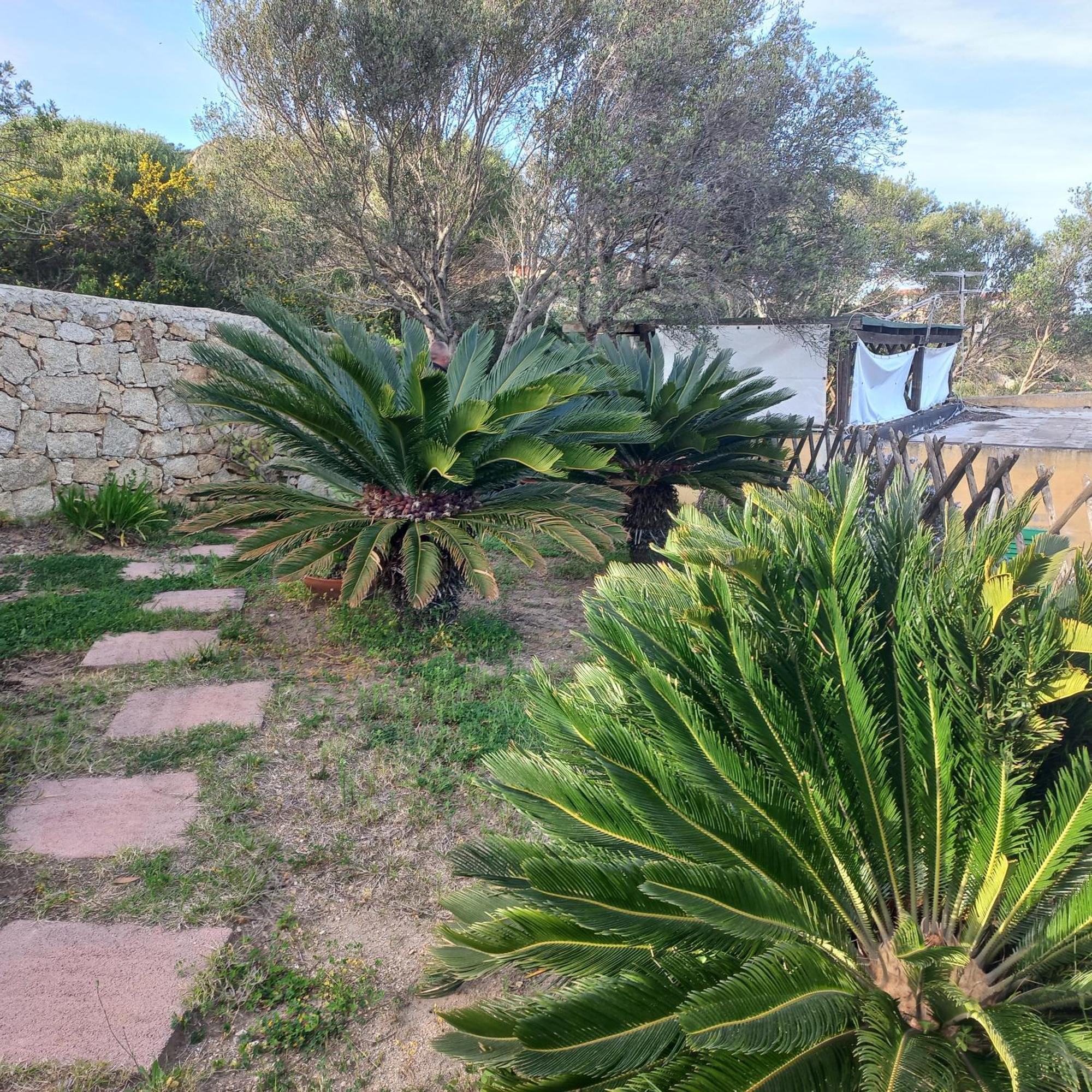 Villa Graziella La Maddalena  Kültér fotó