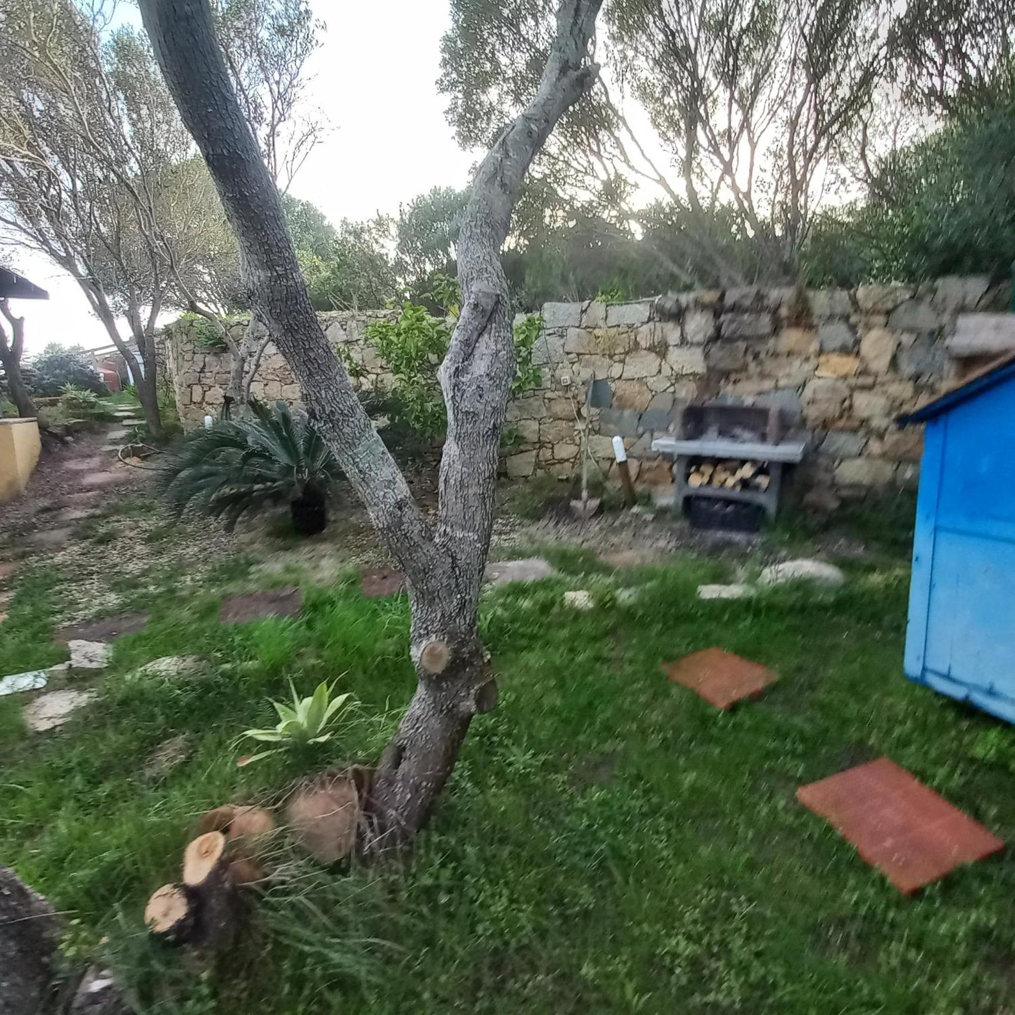 Villa Graziella La Maddalena  Kültér fotó